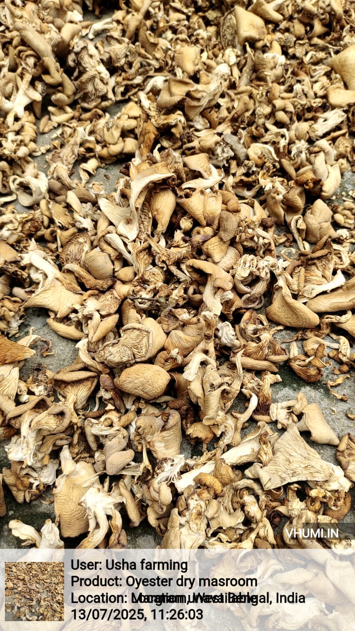 4176 mushroom 820mm×750mm new 4176 mushroom 820mm×750mm new Forbo Desktop Linoleum