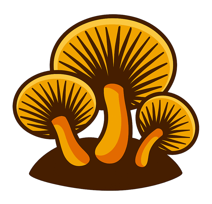 Vhumi Agri Marketplace icon